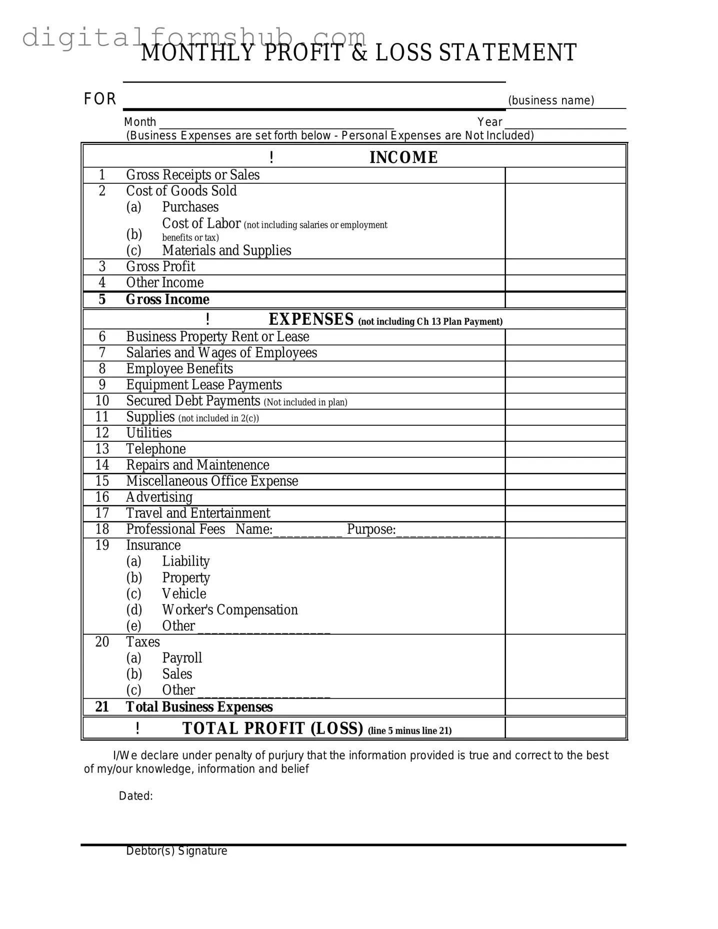 Free Profit And Loss Form in PDF