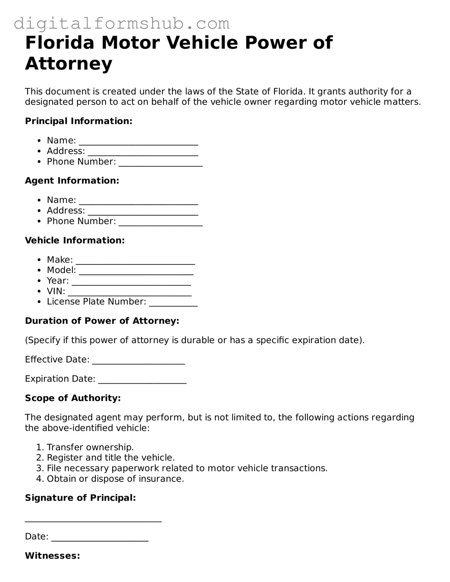 Official Motor Vehicle Power of Attorney Template for the State of Florida